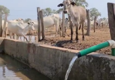 腾博会官网光伏扬水系统用于玻利维亚牲畜饮水项目